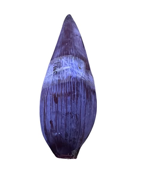 BANANA FLOWER 1100G