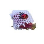DRAGON FRUITS 400-500G