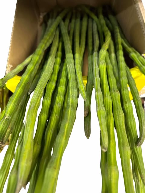 MALUNGGAY DRUMSTICK 500G