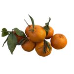 MANDARIN ORANGE 1KG