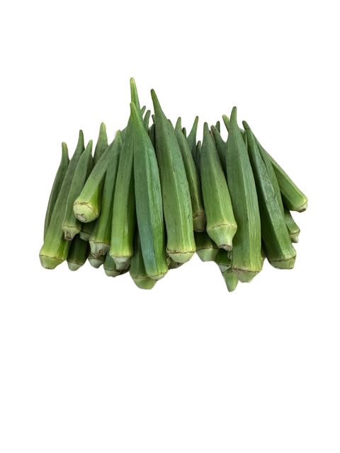 OKRA 500G